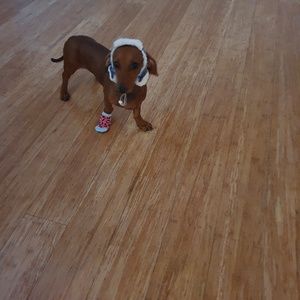 Meet your Posher, Hala